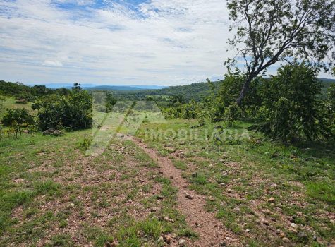 Fazenda com 4 Casas - 323 Alqueires