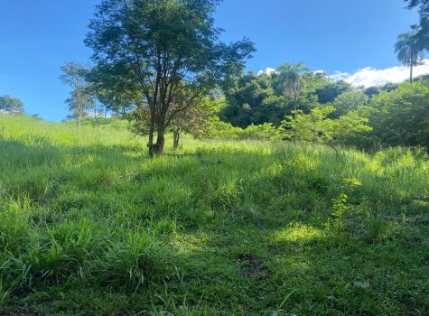 Chácara à Venda na Beira do Rio Traíras