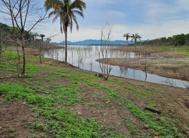 Fazenda de 19 Alqueires