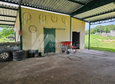 Fazenda com 4 Casas - 323 Alqueires