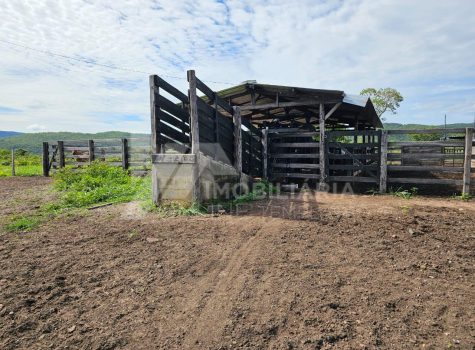 Fazenda com 4 Casas - 323 Alqueires